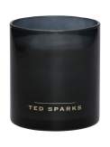 Аромасвеча Ted Sparks Бамбук и Пион Bamboo Peony